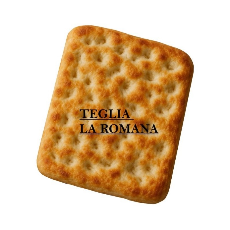 Box 10 Pezzi Teglia Romana 30x18 cm