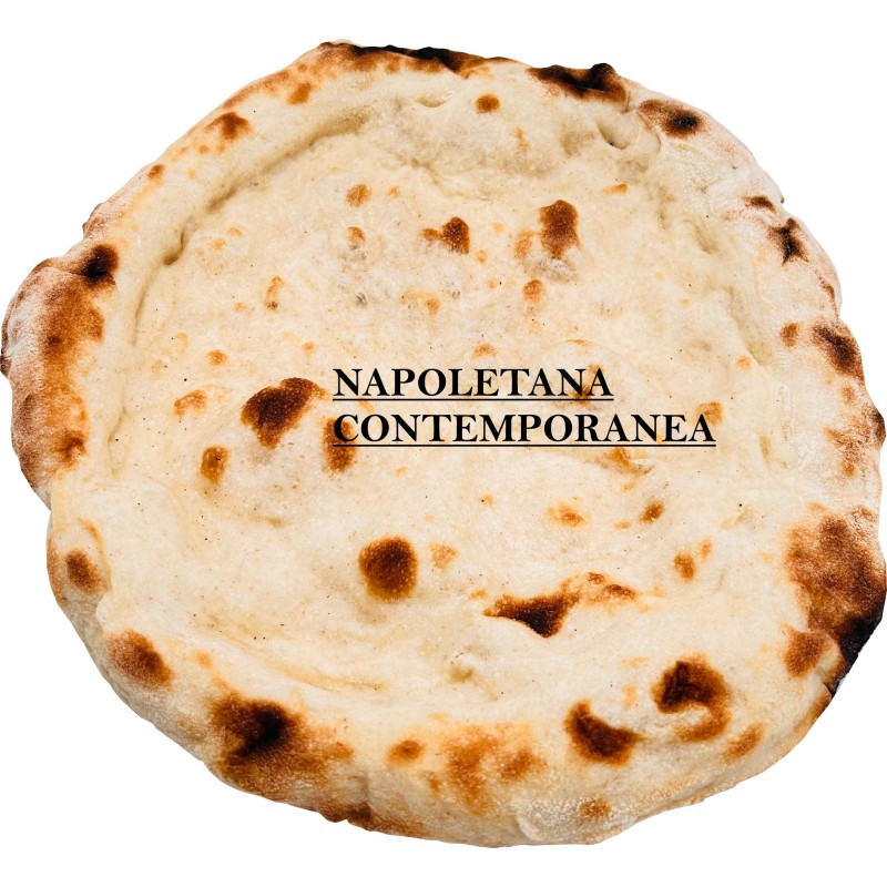 Base Napoletana 33 cm